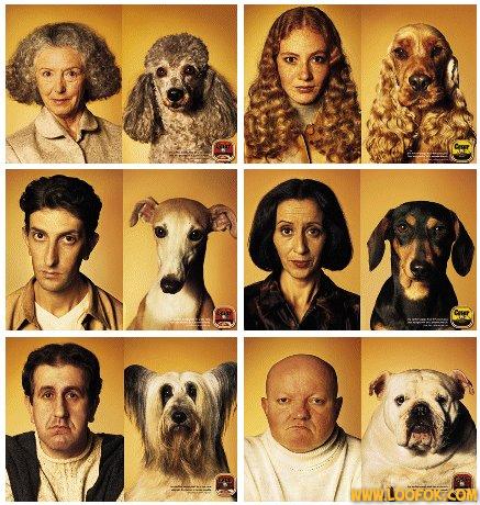 tel maitre tel chien