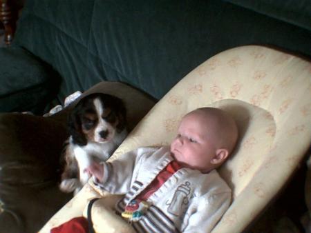 chienne avec petite soeur