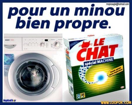 minou propre