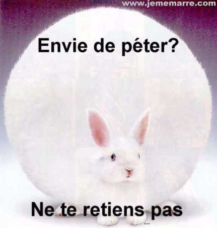 honte